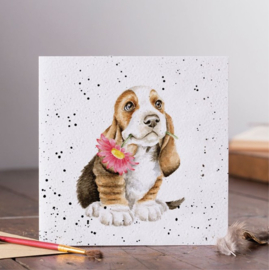 Wrendale Designs 'Just for You' Basset Hound Card