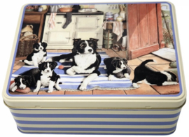 Meander Blik - Farmyard Animals by Tracy Hall - Border Collies