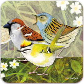 Emma Ball Coasters - British Birds - set of 4