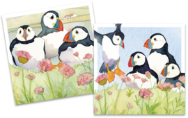 Emma Ball Mini Cards Sea Thrift Puffins - set van 10 met envelop