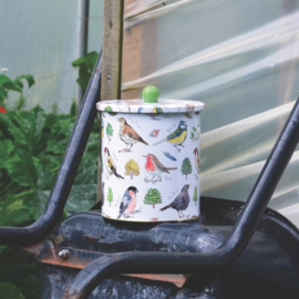 Madeleine Floyd - Bird Song - Biscuit Barrel