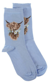 Wrendale Designs Socks 'Daisy Coo' Highland Cow - Dames maat 37–41