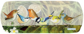 Emma Ball Sandwich Tray - British Birds