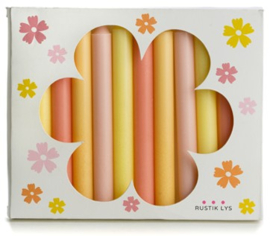 Rustik Lys - Potloodkaarsjes - Ø 1,2 cm x 12 cm - Flower box - 12 st.