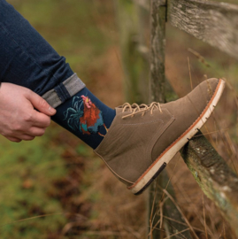 Wrendale Designs Socks 'Colours of the Rainbow' Cockerel - Heren maat 41–46