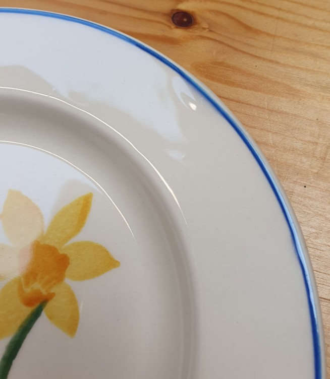 Emma Bridgewater Little Daffodils 6 1/2 Inch Plate *b-keuze*