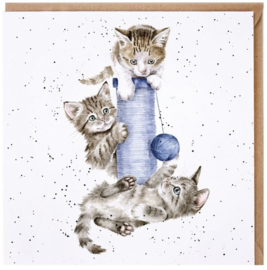 Wrendale Designs 'Three's a Crowd' Cat Card