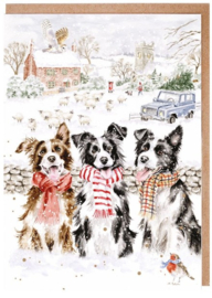 Wrendale Designs 'While Shepherds Watched' Dog - Christmas Card Pack - set van 8 kaarten