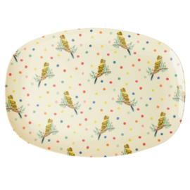 Rice Melamine Rectangular Plate - Budgie Print