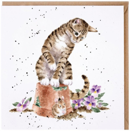 Wrendale Designs Card 'Hide and Squeak'