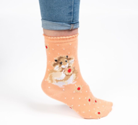 Wrendale Designs Socks 'Diet Starts Tomorrow' Hamster - Dames maat 37–41