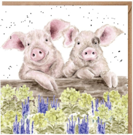 Wrendale Designs Card 'Nosy Neigh-boars'