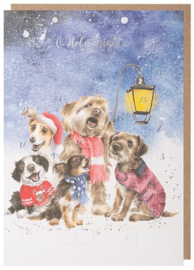 Wrendale 'O Holy Night' Dog Advent Calendar
