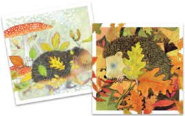 Emma Ball Mini Cards - Wildlife - set van 10 met envelop