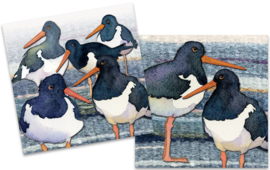 Emma Ball Mini Cards - Oystercatchers - set van 10 met envelop