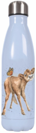 Wrendale Designs 'Daisy Coo' Water Bottle 500 ml