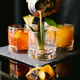 La Rochère Set van 4 Whiskey Glazen - Dandy