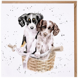 Wrendale Designs Card 'Paws and Pedals'