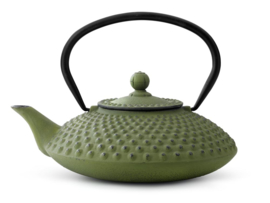Bredemeijer Cast Iron Teapot Xilin 1,25 liter Green