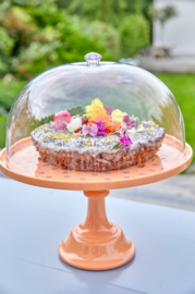 Rice Plastic Clear Dome for Melamine Cake Stand - Stolp