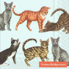 Emma Bridgewater Cats Light Blue Cocktail Napkins