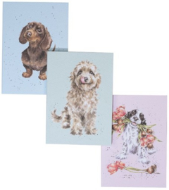 Wrendale Designs Notebook - A6  'A Dog's Life' Dog - Set of 3