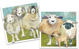 Emma Ball Mini Cards - Felted Sheep - set van 10 met envelop