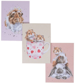 Wrendale Designs Notebook - A6  'Whiskers and Paws' Guinea Pig & Hamster - Set of 3