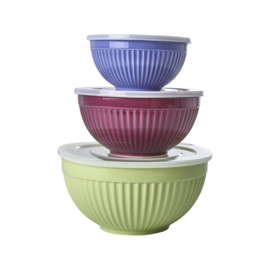 Rice Ceramic Bowls - Green, Aubergine & Lavender - Set van 3