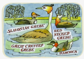 Emma Bridgewater Grebes Pocket Tin