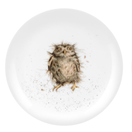 Wrendale Designs Lunch Plate Owl 'What a Hoot'