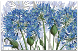 Emma Ball Cotton Tea Towel - Agapanthus