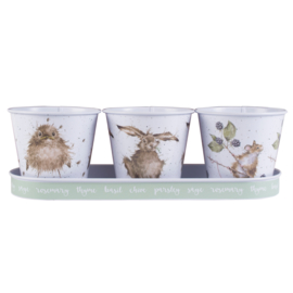 Wrendale Herb Pots and Tray -owl, hare, mouse-