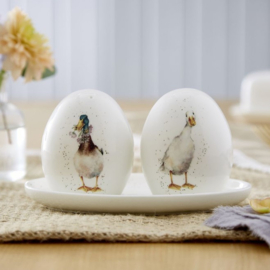 Wrendale Designs 'Not a Daisy Goes By' Duck Salt and pepper pots with Tray