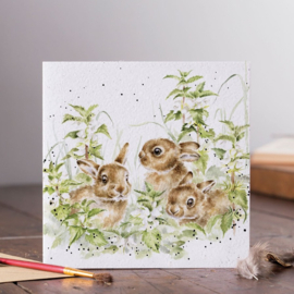 Wrendale Designs Card 'Spring Hares'