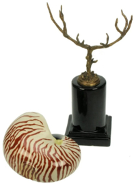 Meander Schelp op Voet -messing & porselein-