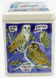 Emma Bridgewater Bird Families Large Rectangular Tin Caddy