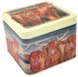 Emma Ball Small Square Tin - Highland Coos