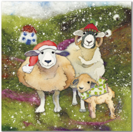 Emma Ball Christmas Cards - Felted Sheep - set van 6 met envelop