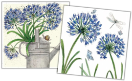 Emma Ball Mini Cards Agapanthus - set van 10 met envelop