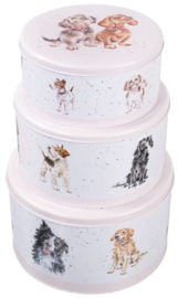 Wrendale Designs Set of 3 Cake Tins 'A Dog's Life' Dog -cream-