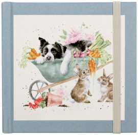 Wrendale Designs 'Sleeping on the Job' Border Collie and Rabbit - Password Book