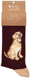 Wrendale Designs Socks 'Good as Gold' Labrador - Heren maat 41–46