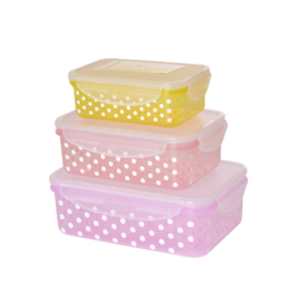 Rice Rectangular Food Box with Dots - Set of 3