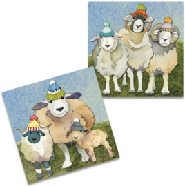 Emma Ball Mini Cards - Happy Sheep - set van 10 met envelop