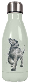 Wrendale Designs 'Hopeful' Small Water Bottle 260 ml