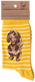 Wrendale Designs Socks 'Little One' Dachshund - Dames maat 37–41