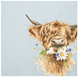 Wrendale Designs Lunch Napkins 'Daisy Coo' Highland Cow