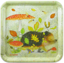 Emma Ball Square Tray - Hedgehog