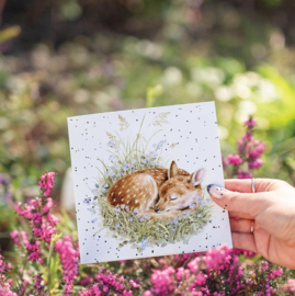 Wrendale Designs 'The Gentle Fawn' Deer Card